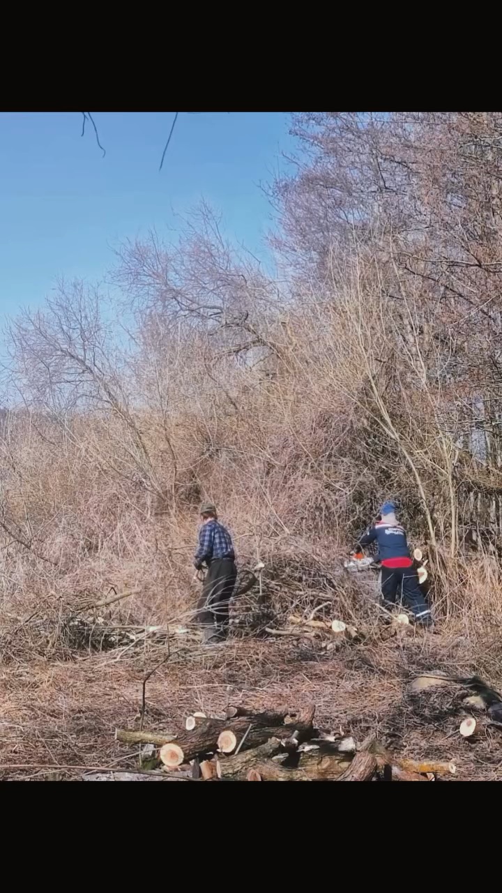 Реставрационные работы в Грушевке